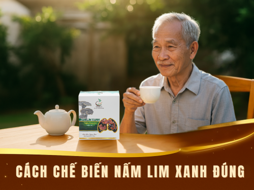 Cách chế biến nấm Lim Xanh đúng để phát huy tối đa dược chất
